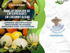 Copia de cucu3 (1).png