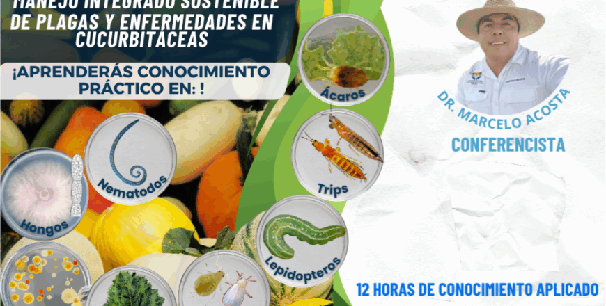 aguacate webinar (2).png