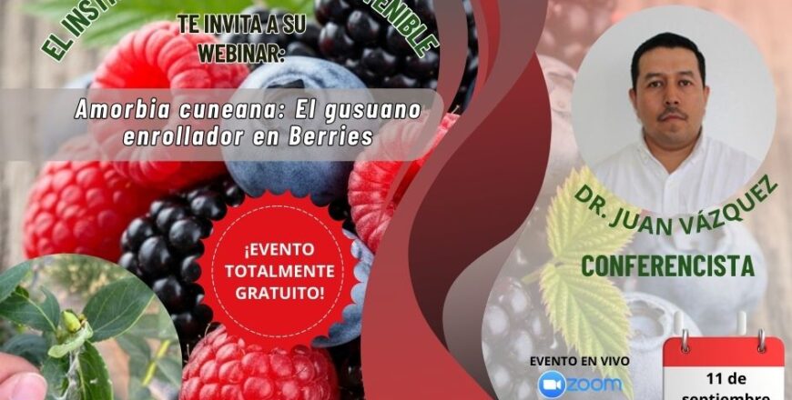 aguacate webinar (8).jpg