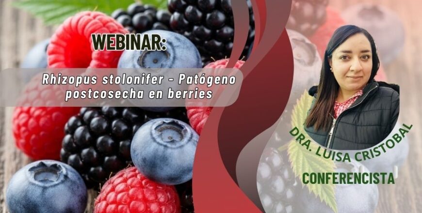 aguacate webinar (9).jpg