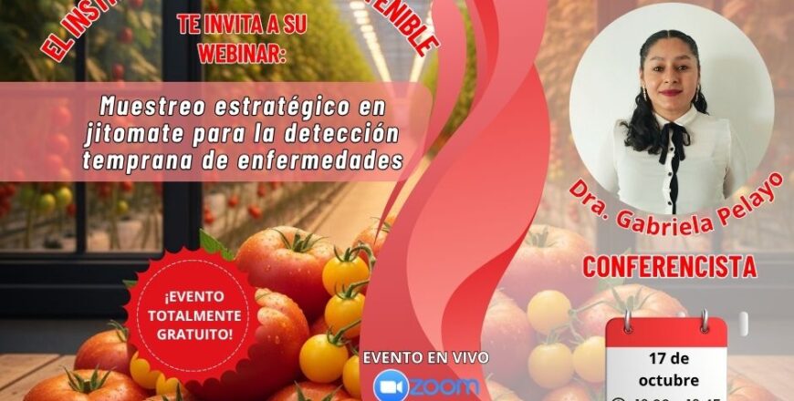 publicidad webinar (1).jpg
