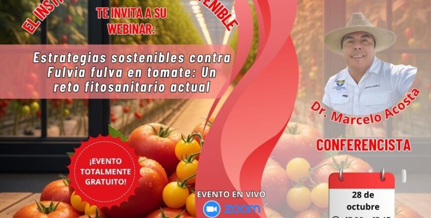 publicidad webinar (2).jpg