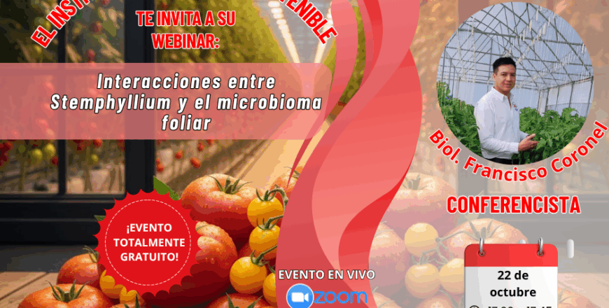 publicidad webinar.png